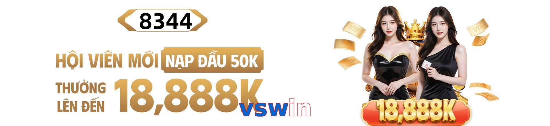 vswin